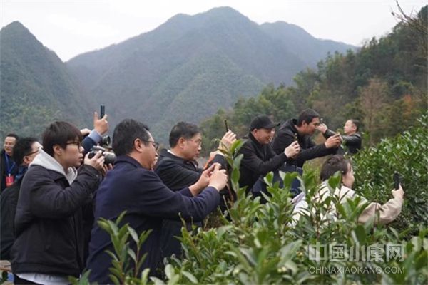 新化采风采访活动走进大熊山、梅山龙宫、向东街、紫鹊界、渠江源